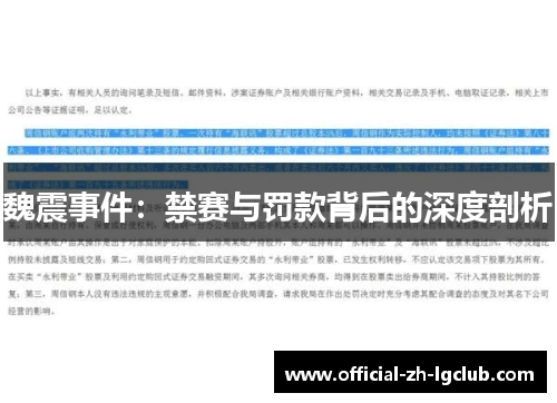 魏震事件：禁赛与罚款背后的深度剖析
